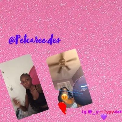Petcaree.des