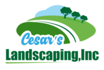 Cesar's Lawn & Landscaping, Inc.