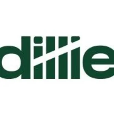 Dillie