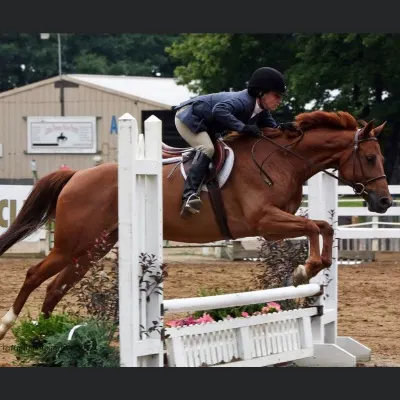 Dasta Hunt Team @ Hilltop Crossing Equestrian Center