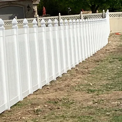 Blue Birds Fence 