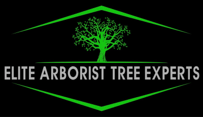 Elite Arborist Tree Experts