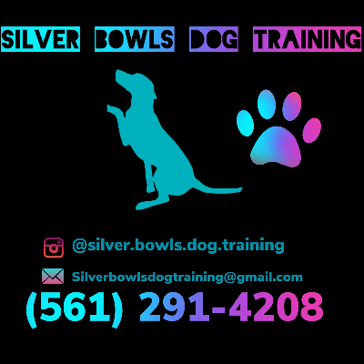 Silverbowlsdogtraining