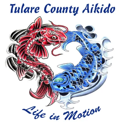 Tulare County Aikido