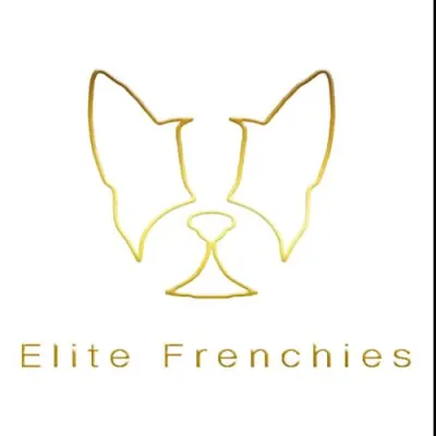 Elite Frenchies