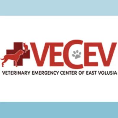 Veterinary Emergency Center Of East Volusia