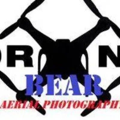 Drone Bear Photography