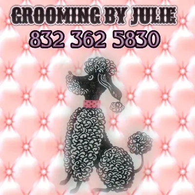 Grooming By Julie