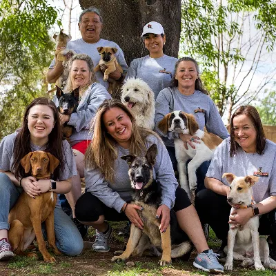 K9-Games Dog And Puppy Training