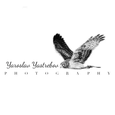 Yaroslav Yastrebov Photography