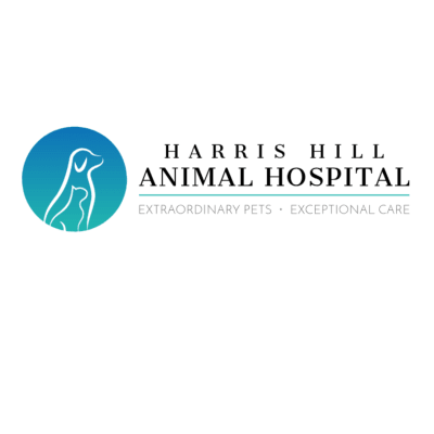Harris Hill Animal Hospital