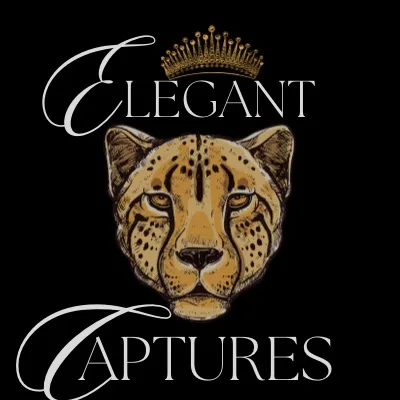 Elegant Captures