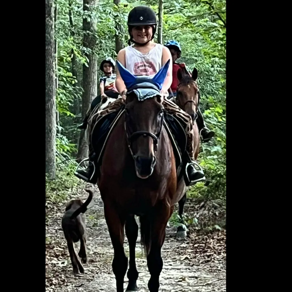 Recovery Equestrian Facility