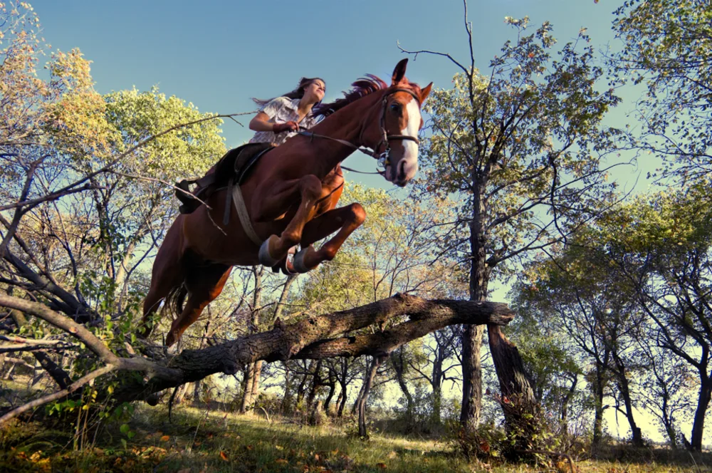 Hunter Lane Stables