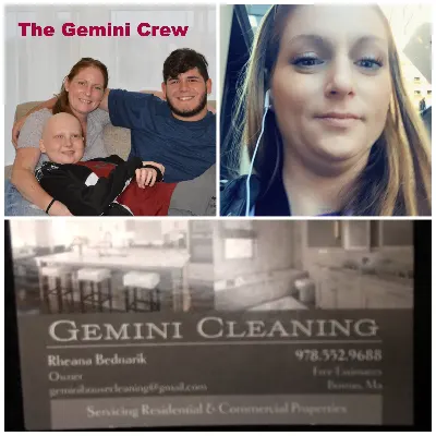 Gemini Cleaning