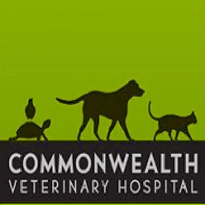 Commonwealth Veterinary Hospital