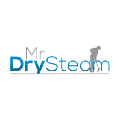 Mr Dry Steam