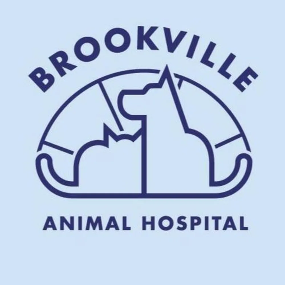 Brookville Animal Hospital
