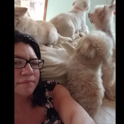 Four Paws Grooming And Boarding 