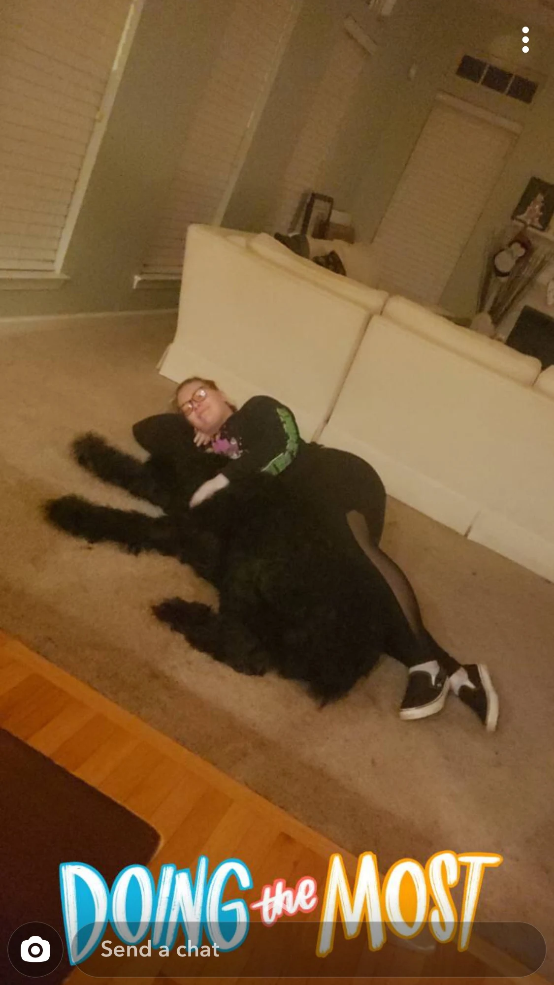 Loving Pet Sitting In Charlotte NC HomeGuide loving-pet-sitting-in-charlotte-nc-homeguide