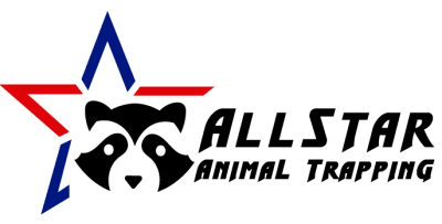 All Star Animal Trapping