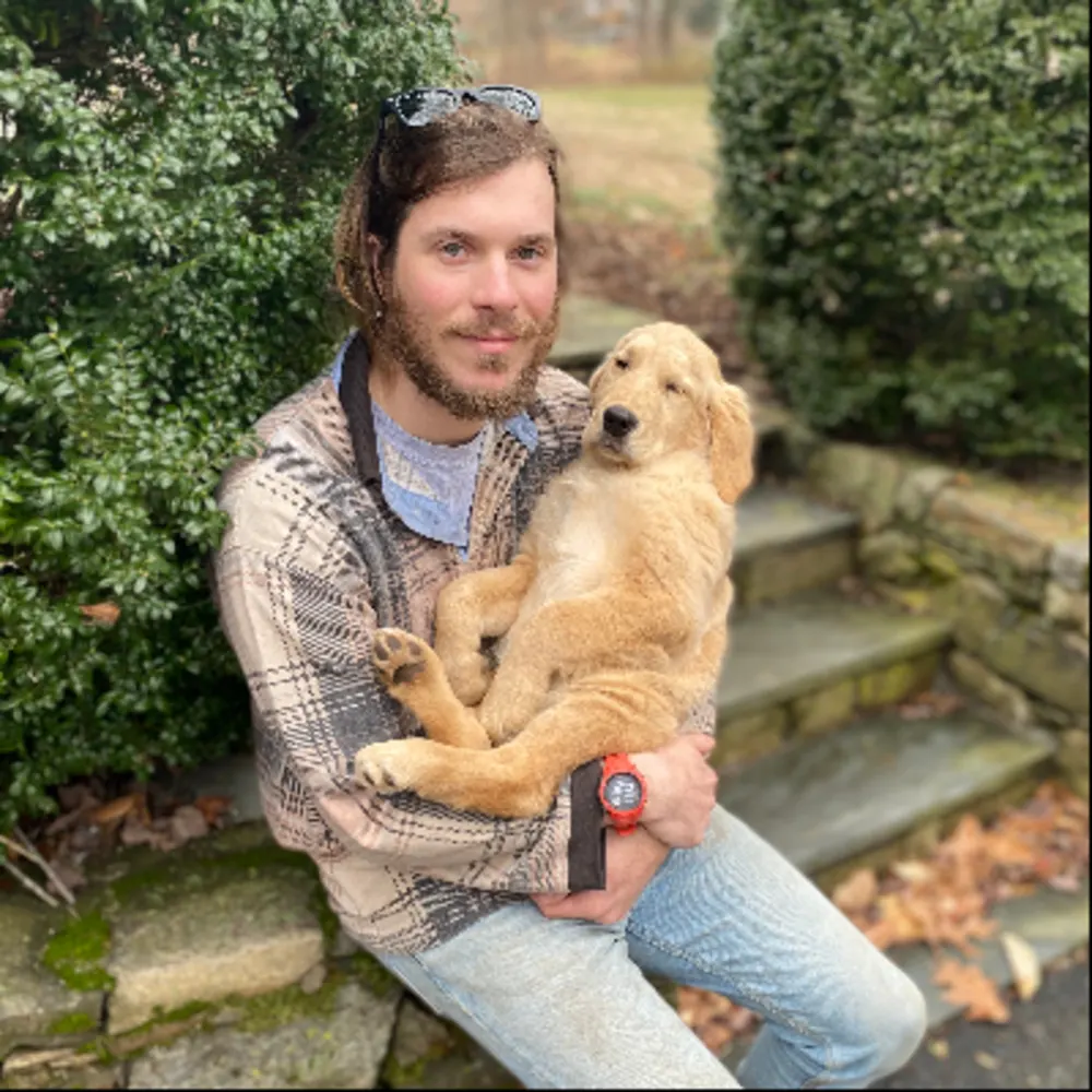 Domestic Dog Training