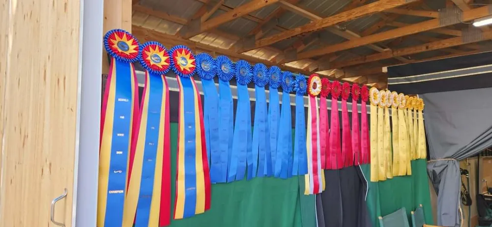 Sterling Hill Stable