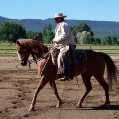 Paul Dietz Horsemanship