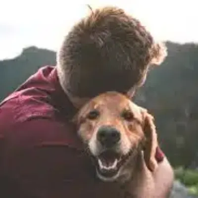 Love Your Pet!