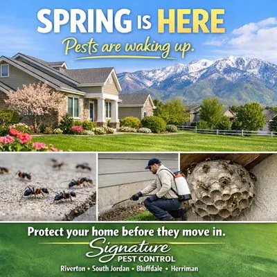 Signature Pest Control