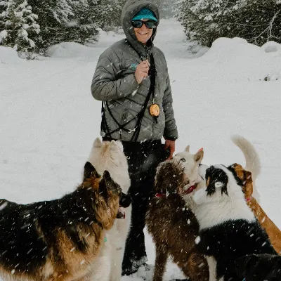 Got Dogs
