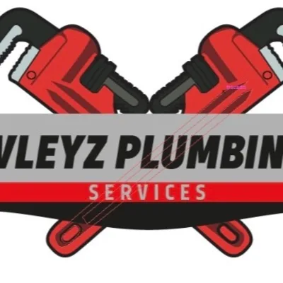 Vleyz Plumbing Services  