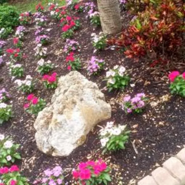 A plant bed that I made
