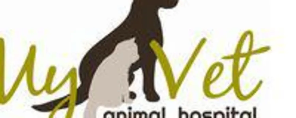 My Vet Animal Hospital