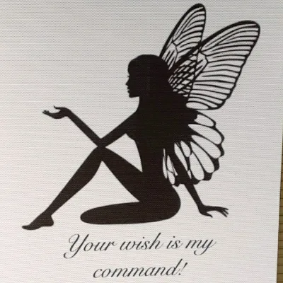 Fairy Magic Hair Studio