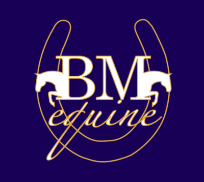 BM Equine Riding Academy