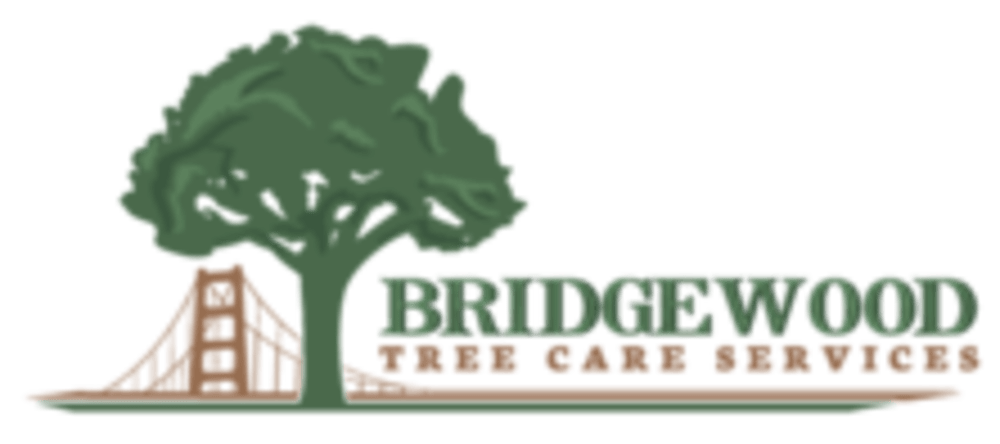 Bridgewood Tree Care Services