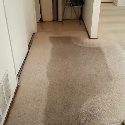 KB Carpet Cleaners
