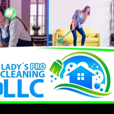 Lady's Pro Cleaning LLC