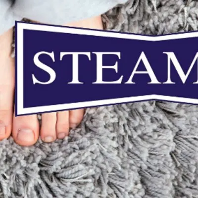 Steamex Carpet & Tile Cleaning