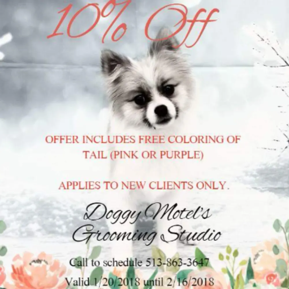 Doggy Motel's Grooming Studio