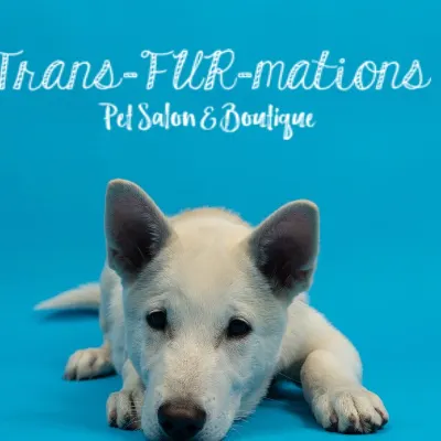 Trans-FUR-mations Pet Salon & Boutique