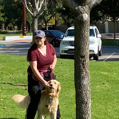 Give The Dog A Ball