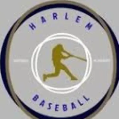 Harlem Baseball Hitting Academy