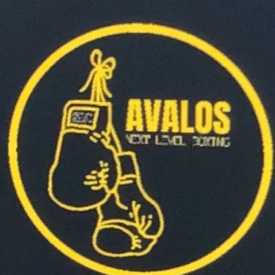 Avalos Next Level Boxing 