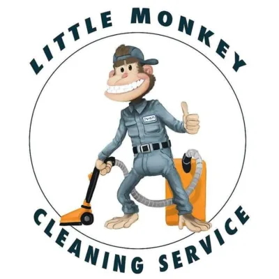 Little Monkey Cleaning Services