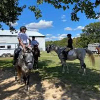 CUR Equestrian LLC