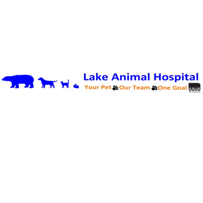 Lake Animal Hospital