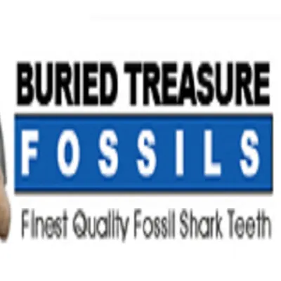 Buried Treasure Fossils