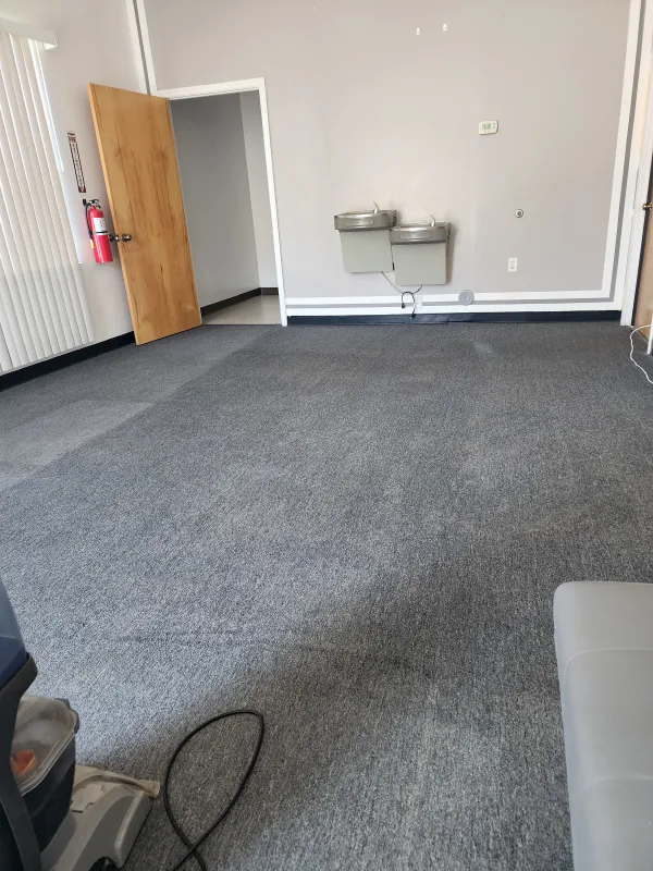 Carpet cleaning